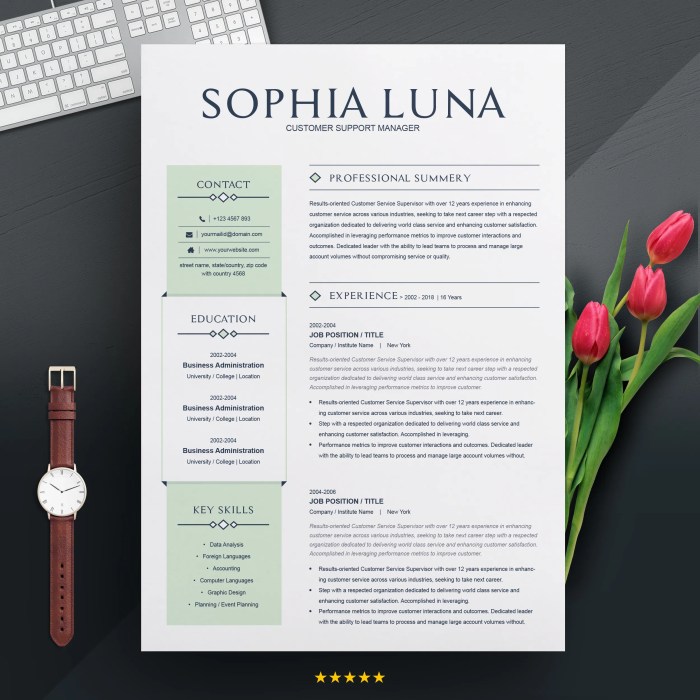 Resume resumes cv luna graphicfy resumeinventor